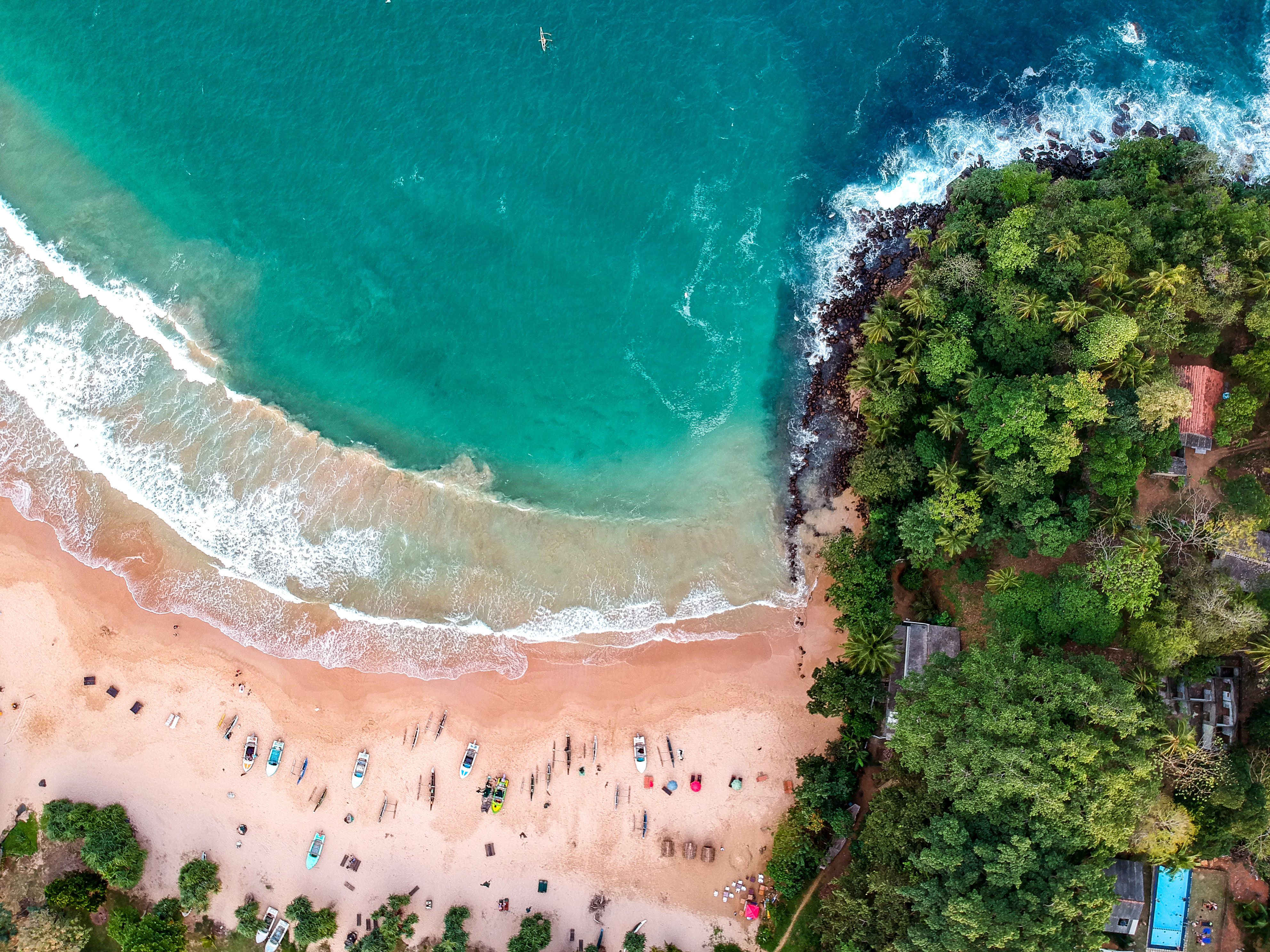 Jungle Beach